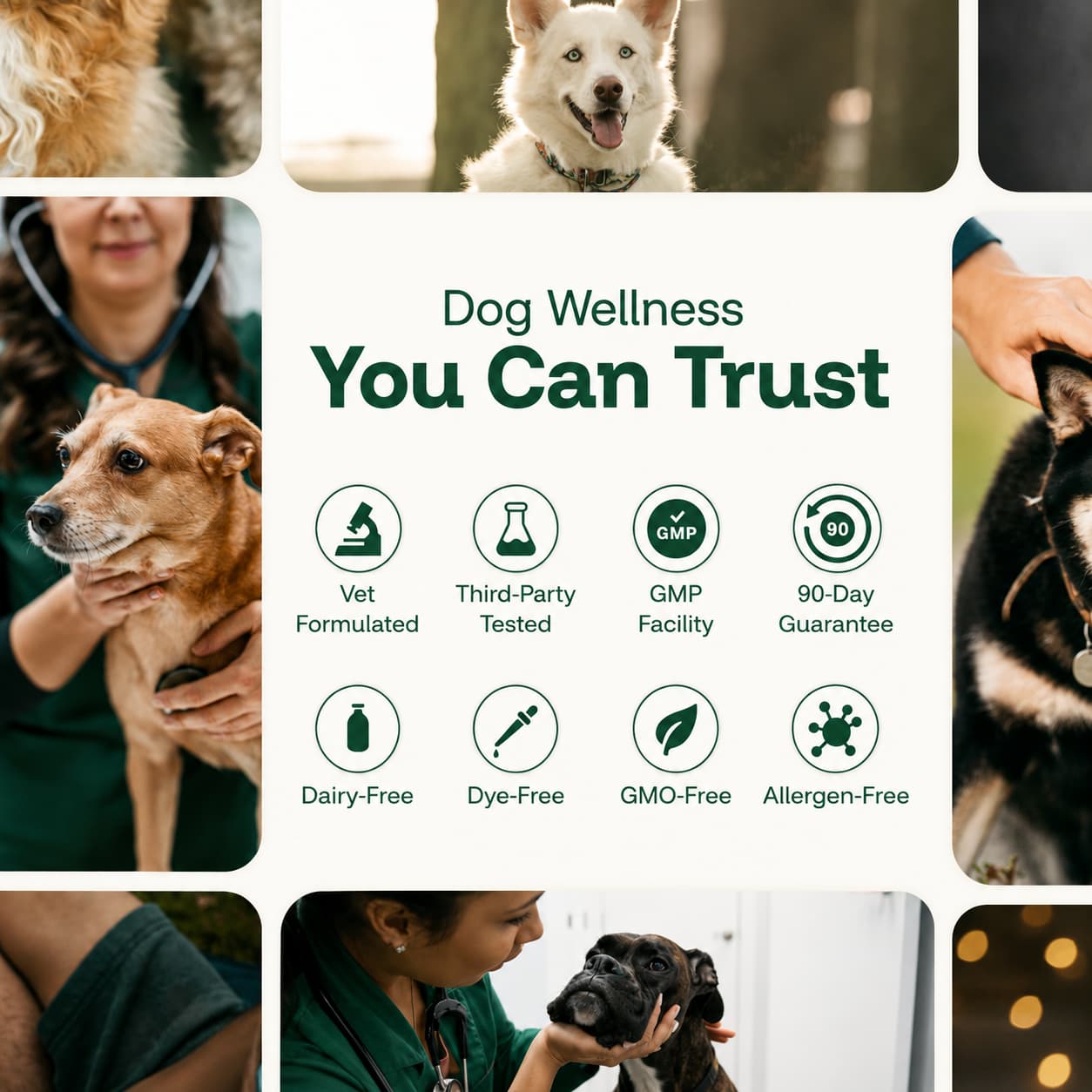 The Daily Formula Built for Your Dogs’ Weight, Joints & Energy
