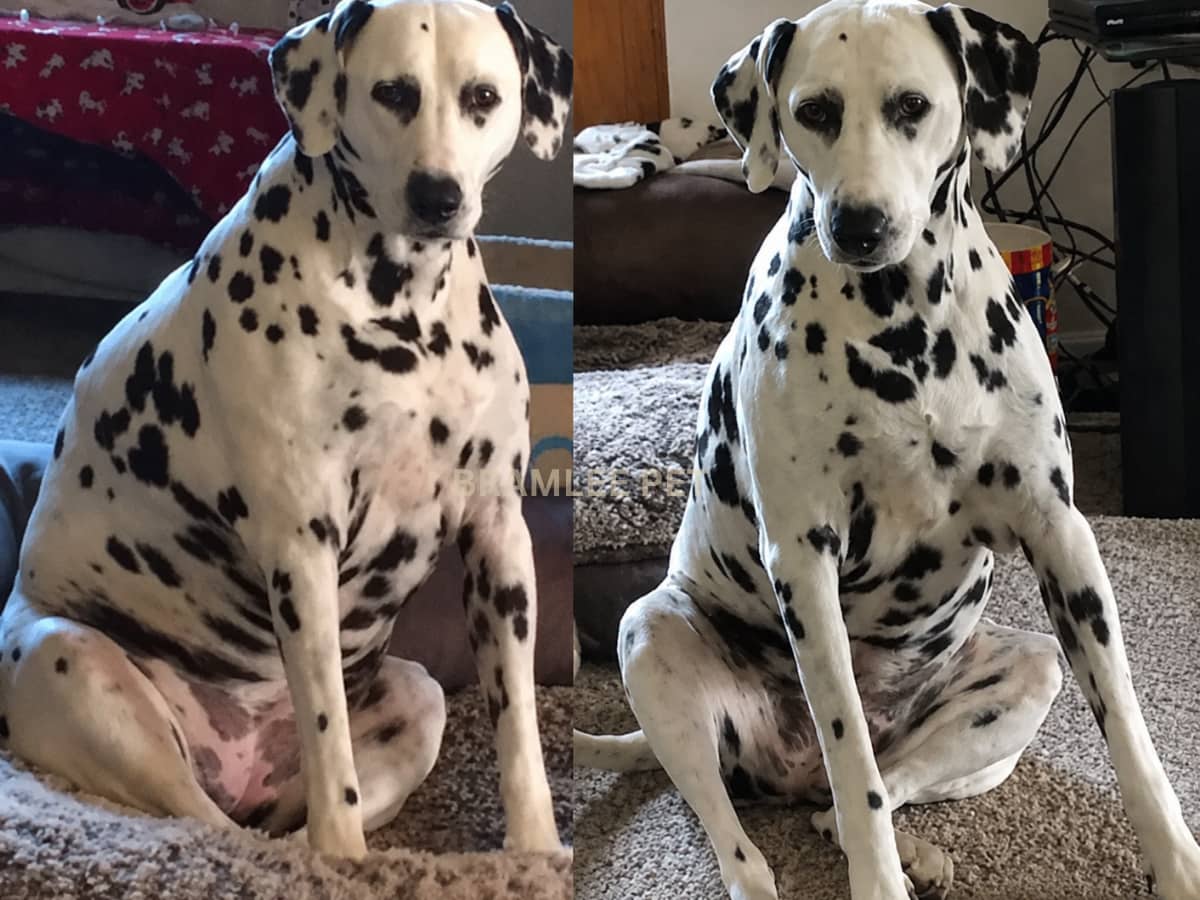 Domino before and after