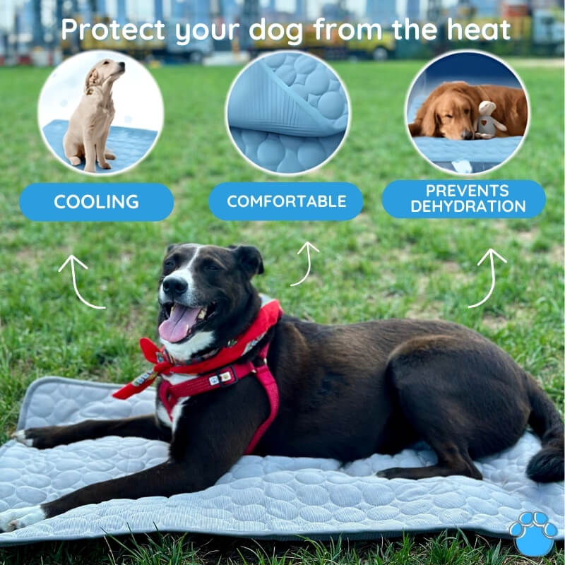 Bramlee Ultimate Cooling Mat for Pets