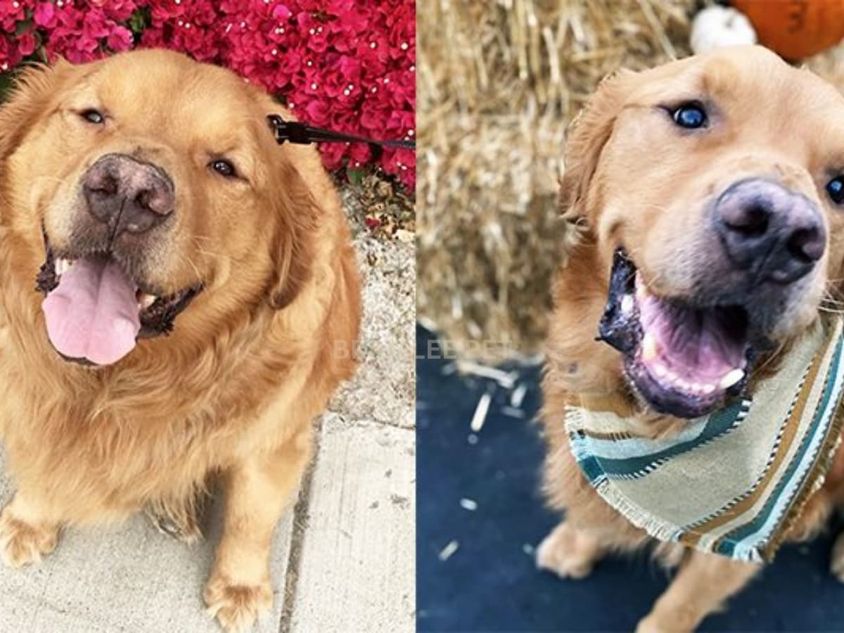 Rusty before and after