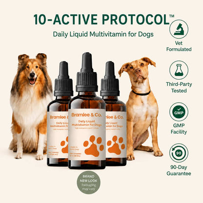 The Daily Formula Built for Your Dogs’ Weight, Joints & Energy