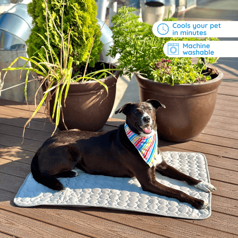 Bramlee Ultimate Cooling Mat for Pets