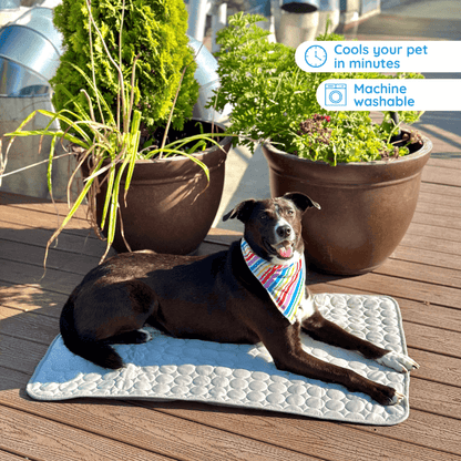 Bramlee Ultimate Cooling Mat for Pets
