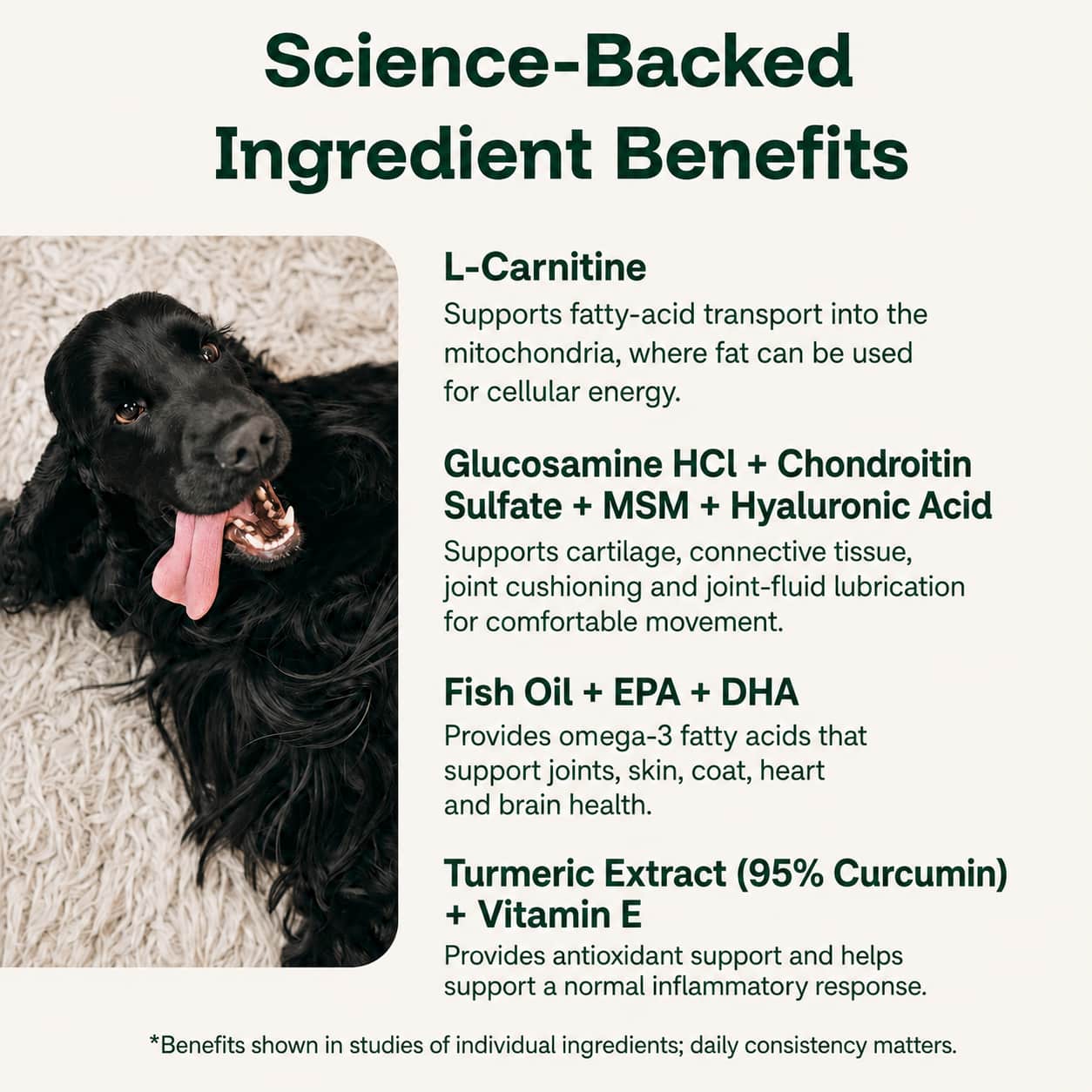 The Daily Formula Built for Your Dogs’ Weight, Joints & Energy