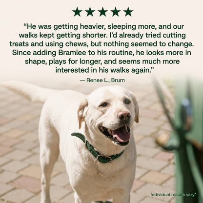 The Daily Formula Built for Your Dogs’ Weight, Joints & Energy