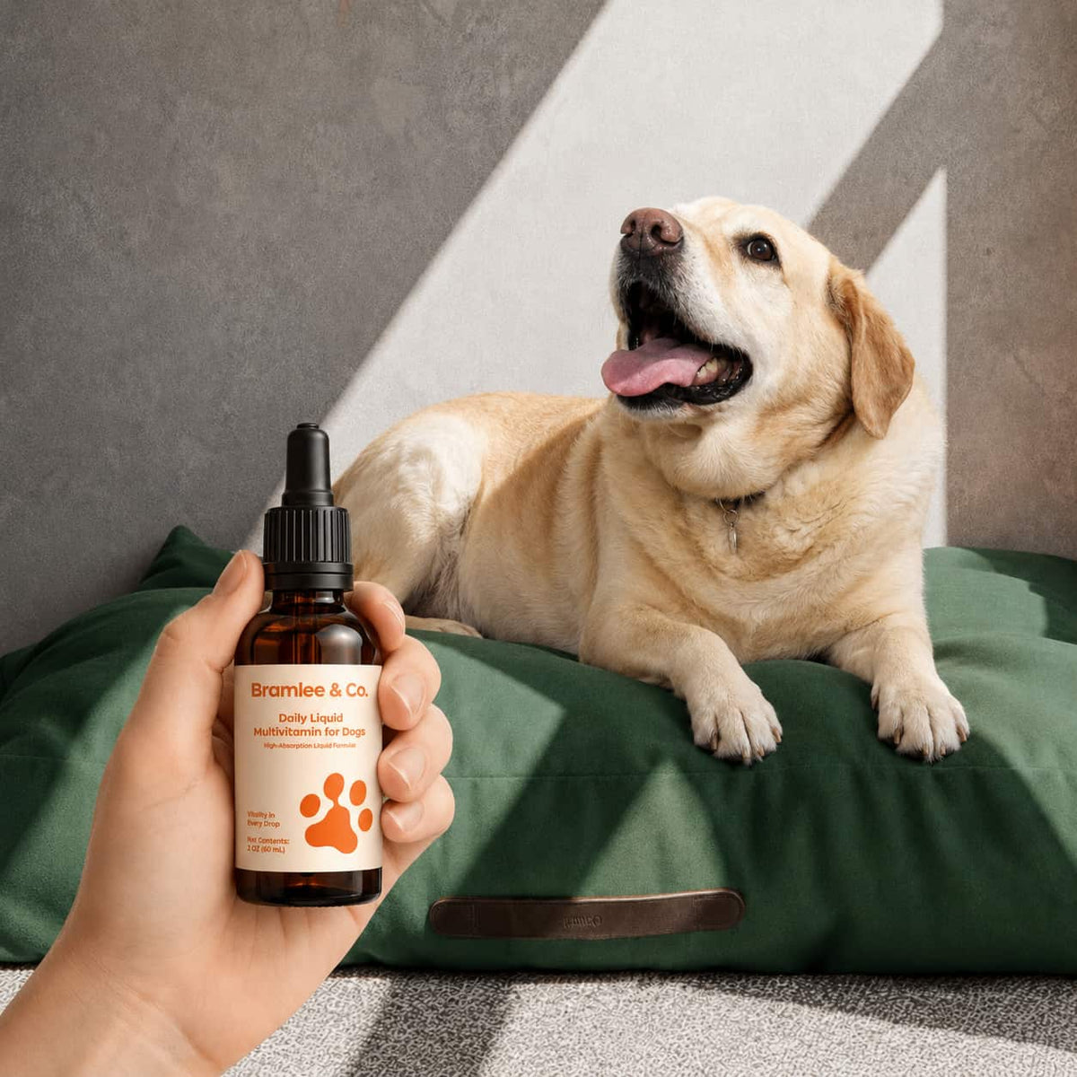 The Daily Formula Built for Your Dogs’ Weight, Joints & Energy