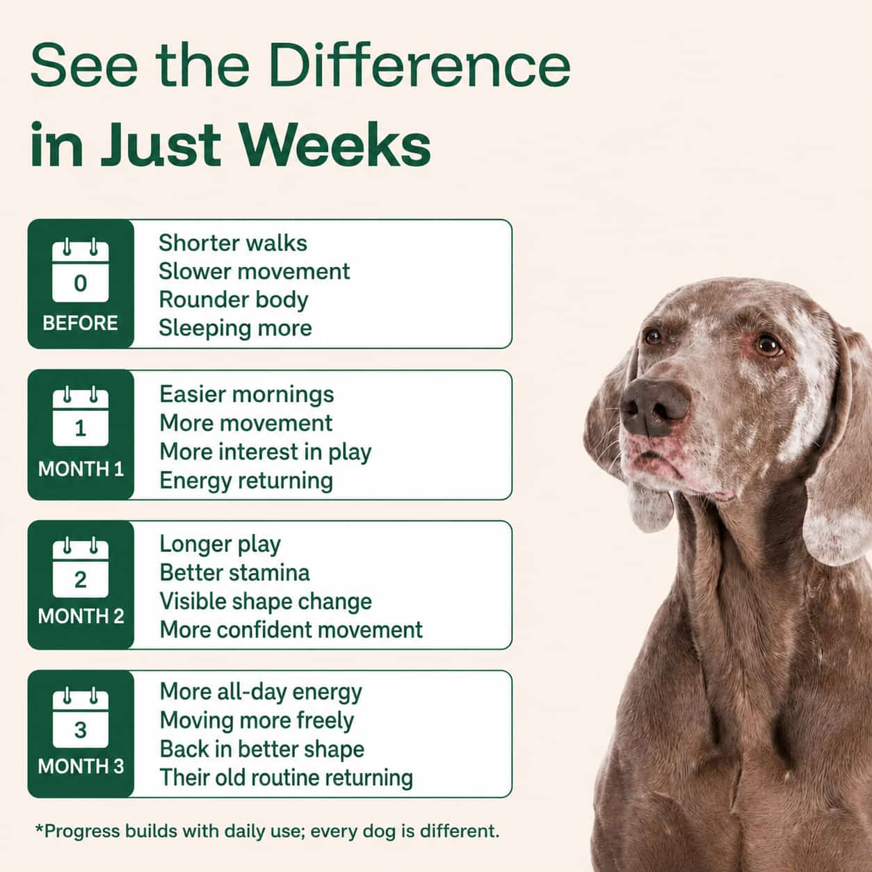 The Daily Formula Built for Your Dogs’ Weight, Joints & Energy