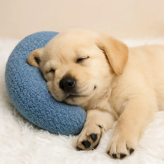 TheBramlee™ Calming Pillow