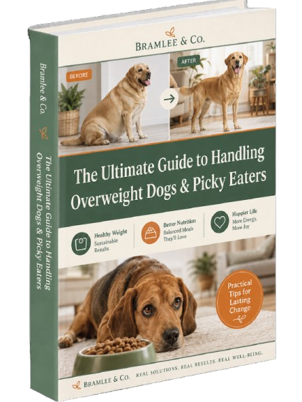 Gift E-book