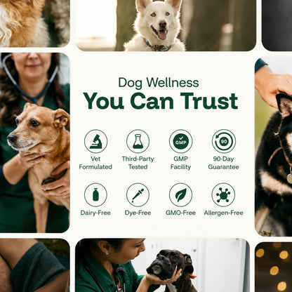 The Complete Daily Formula That Replaces 5+ Supplements Your Dog Won't Take