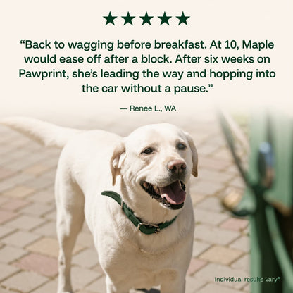 The Complete Daily Formula That Replaces 5+ Supplements Your Dog Won't Take