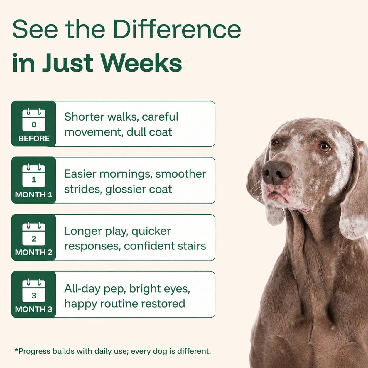 The Complete Daily Formula That Replaces 5+ Supplements Your Dog Won't Take