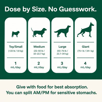 The Complete Daily Formula That Replaces 5+ Supplements Your Dog Won't Take