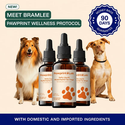 The Complete Daily Formula That Replaces 5+ Supplements Your Dog Won't Take