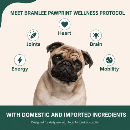 The Complete Daily Formula That Replaces 5+ Supplements Your Dog Won't Take