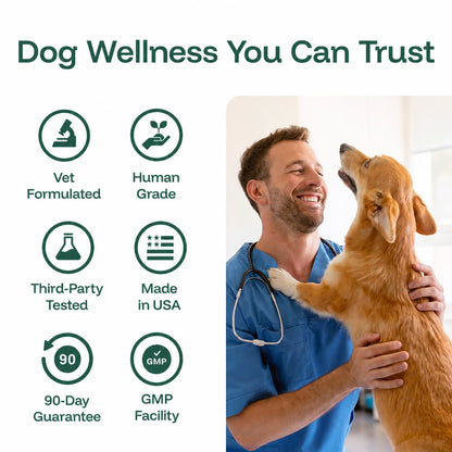 The Science-Backed Approach to Supporting Your Dog’s Healthspan