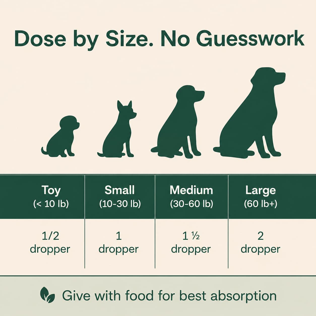 The Science-Backed Approach to Supporting Your Dog’s Healthspan