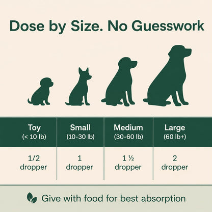 The Science-Backed Approach to Supporting Your Dog’s Healthspan