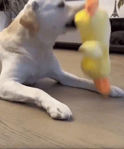 Calming Duck Dog Toy